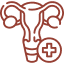 Ginecologia
